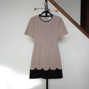 Kate Spade New York Sponge Crepe Scallop Short Sleeve Dress in Mushroom/Black